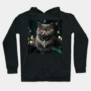 Regal British Blue Kitten Hoodie